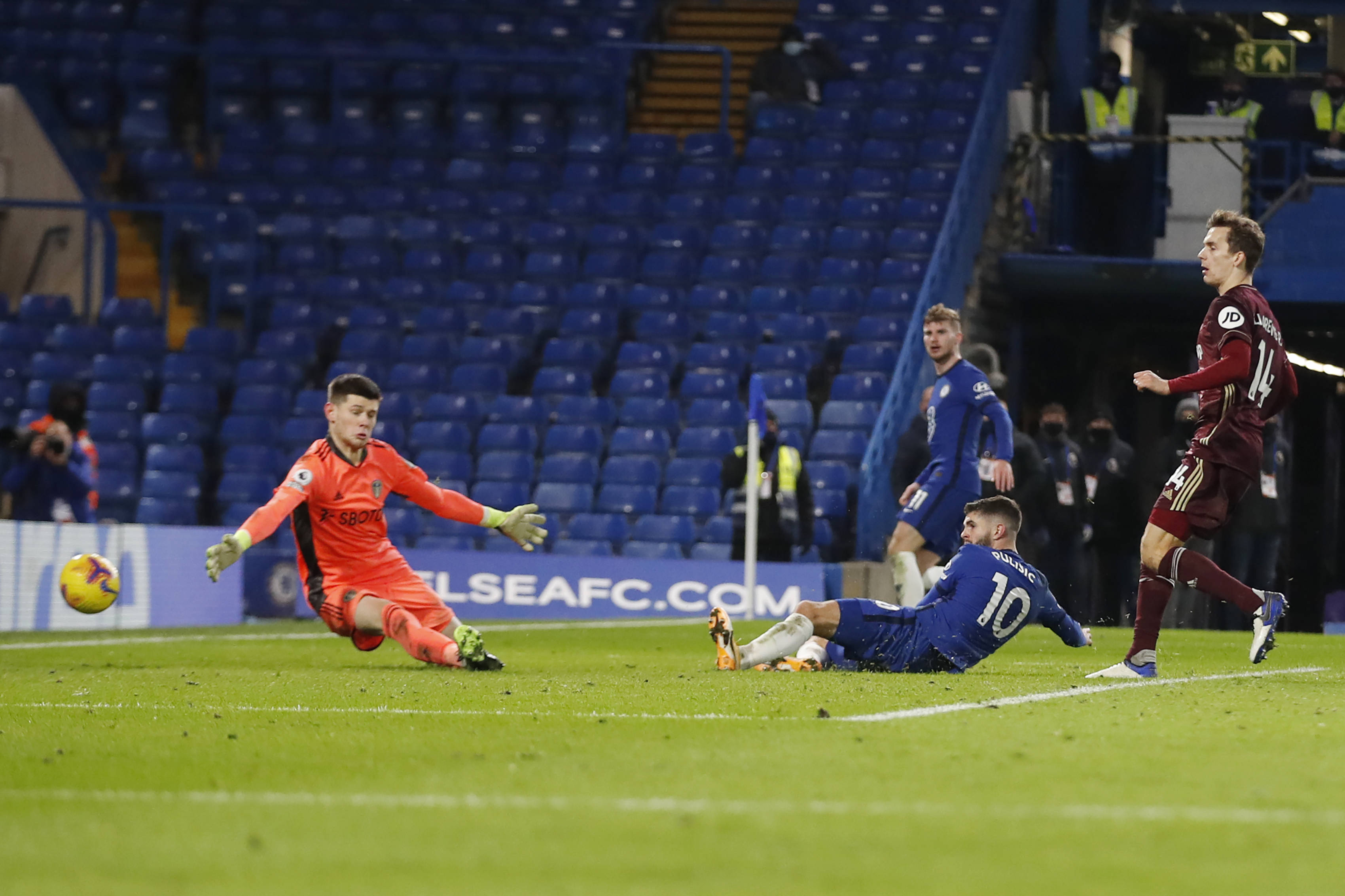 争性和观赏 争性和观赏